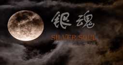 银魂：Silver Soul（中文语音)