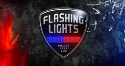 消防模拟/警情模拟/急救模拟/Flashing Lights – Police, Firefighting, Emergency Services Simulator