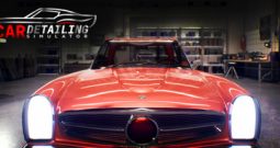 汽车美容模拟器正式版/Car Detailing Simulator